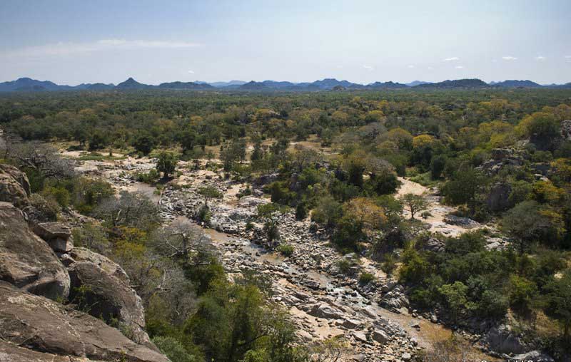 Game drive in Save Valley Conservancy